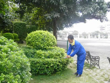 綠化養(yǎng)護如何提高管理水平？