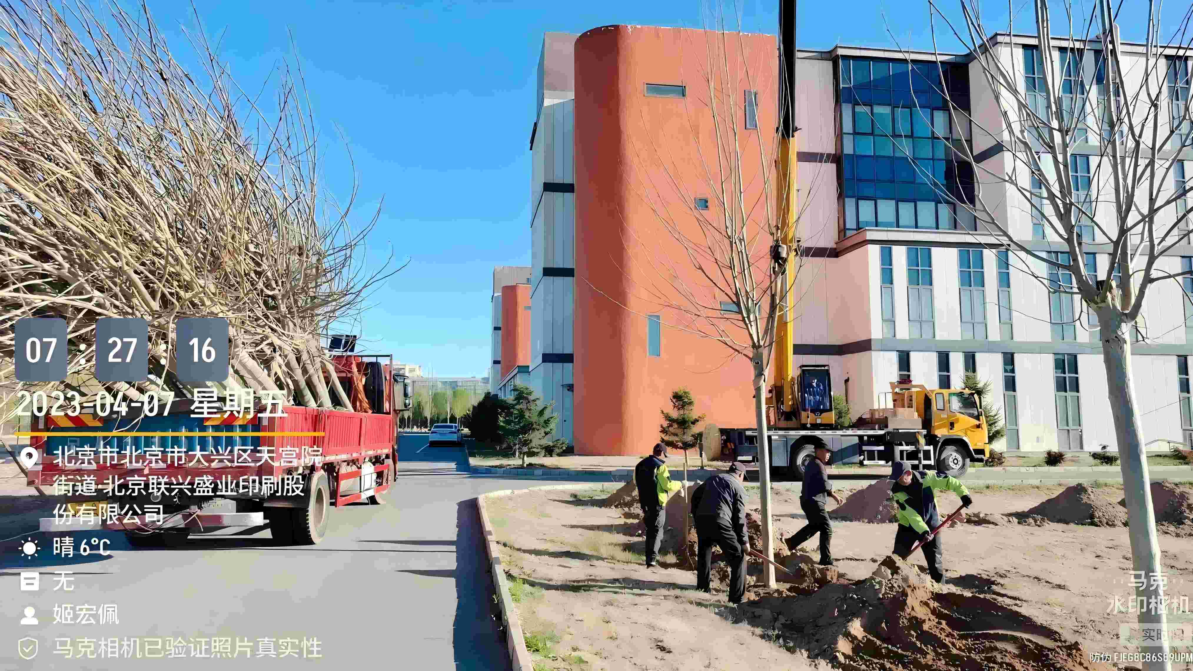 北京春季植樹最好的時間是什么時候？